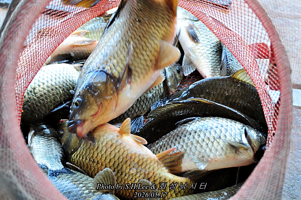 LSH_5515.JPG