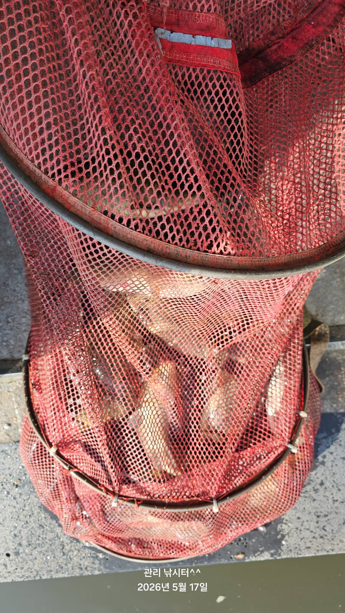 20260517_081800.jpg
