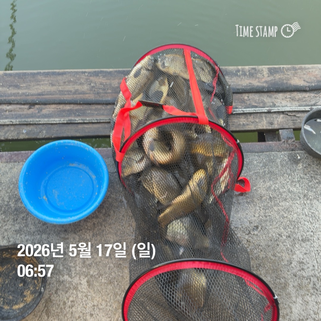 KakaoTalk_20260519_090625059_10.jpg