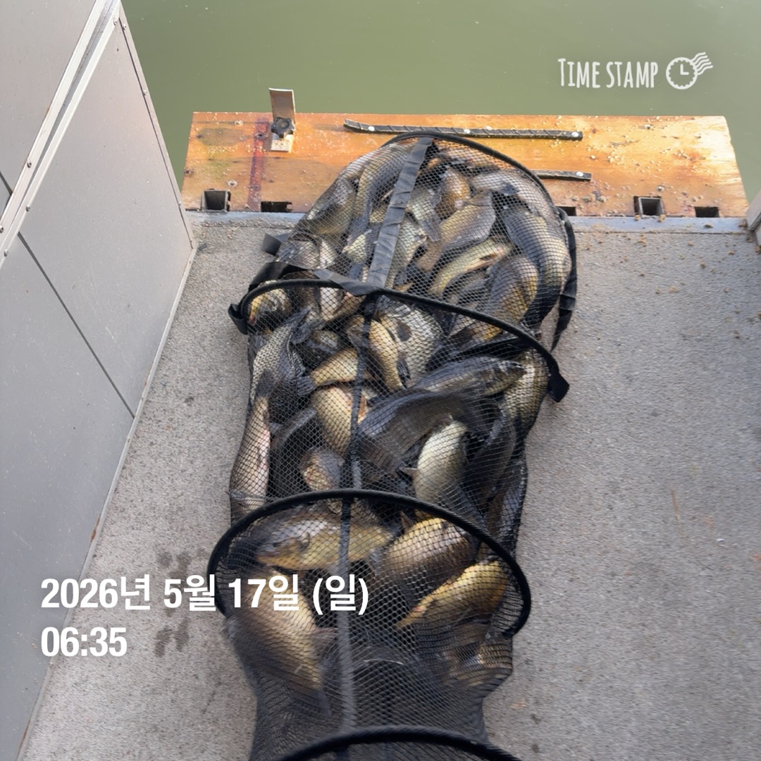 KakaoTalk_20260519_090625059_13.jpg