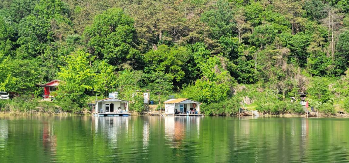 9 (17).jpg