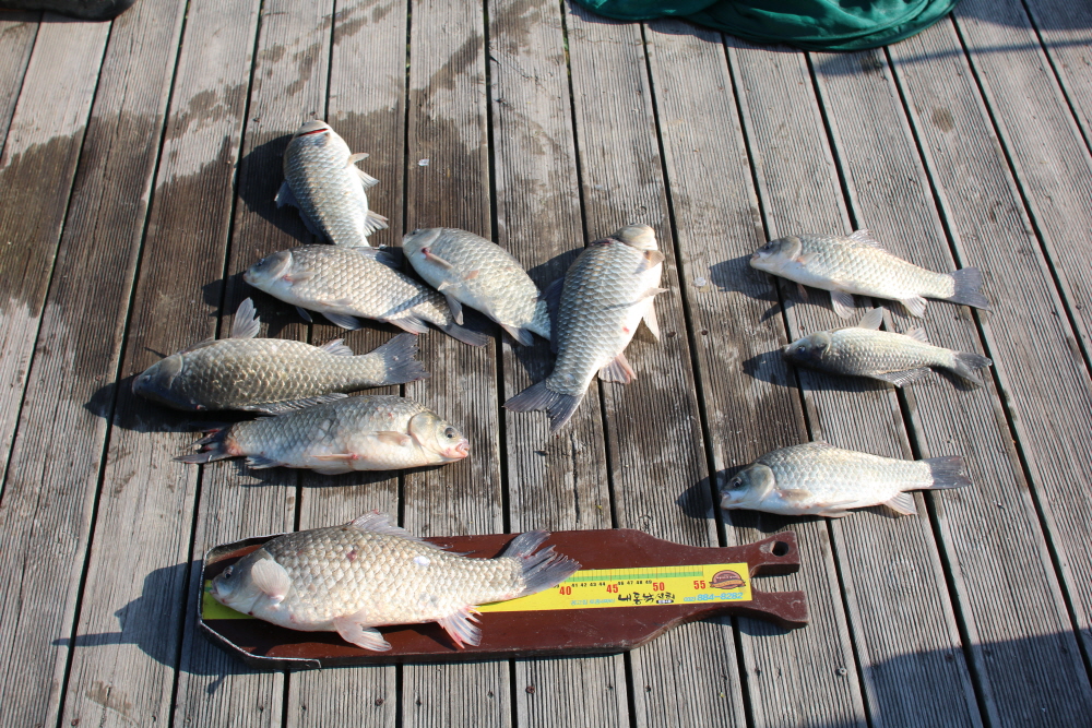 ũ�⺯ȯ_IMG_7303.JPG
