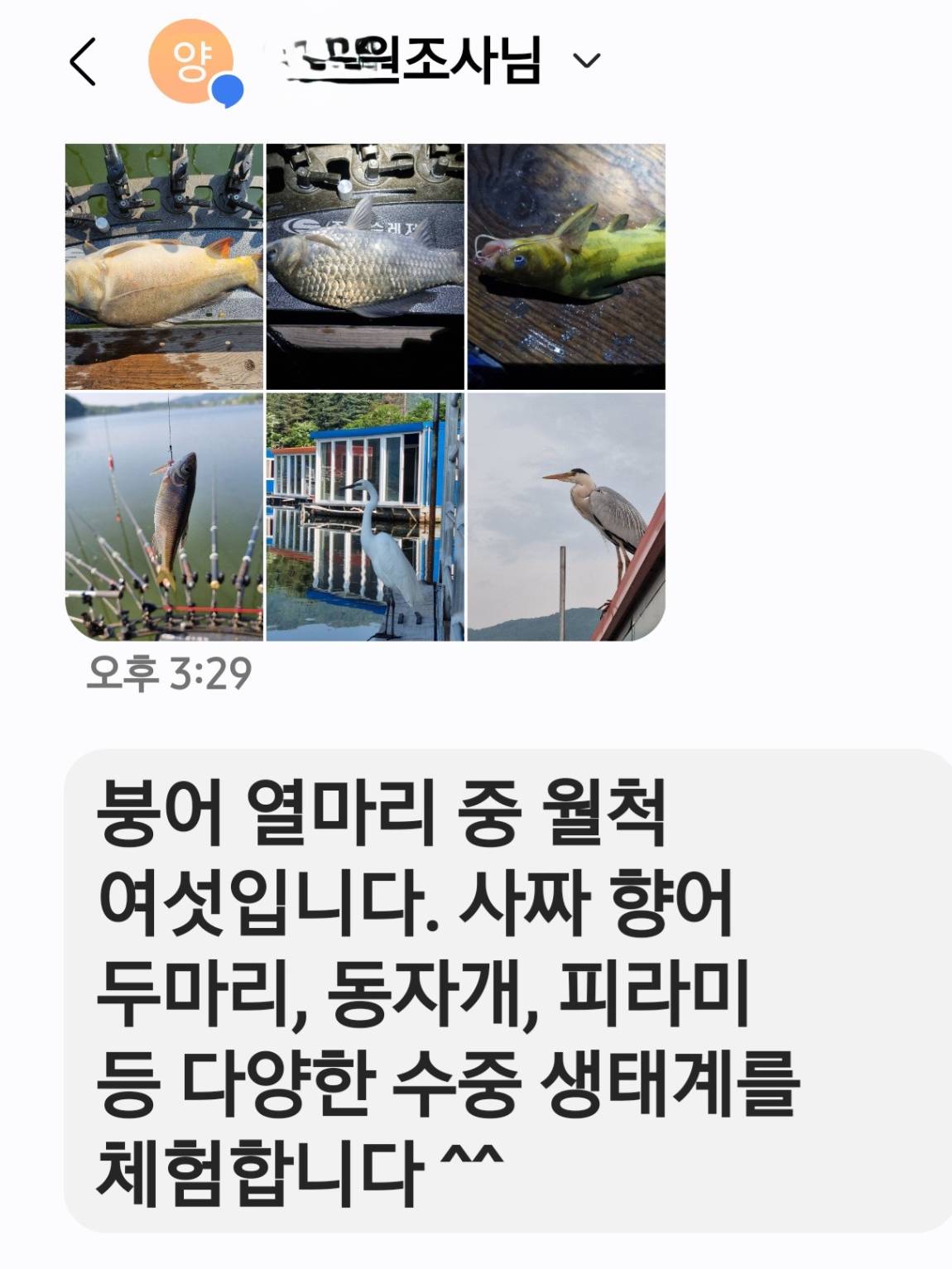 Screenshot_20260517_153202_Messages.jpg