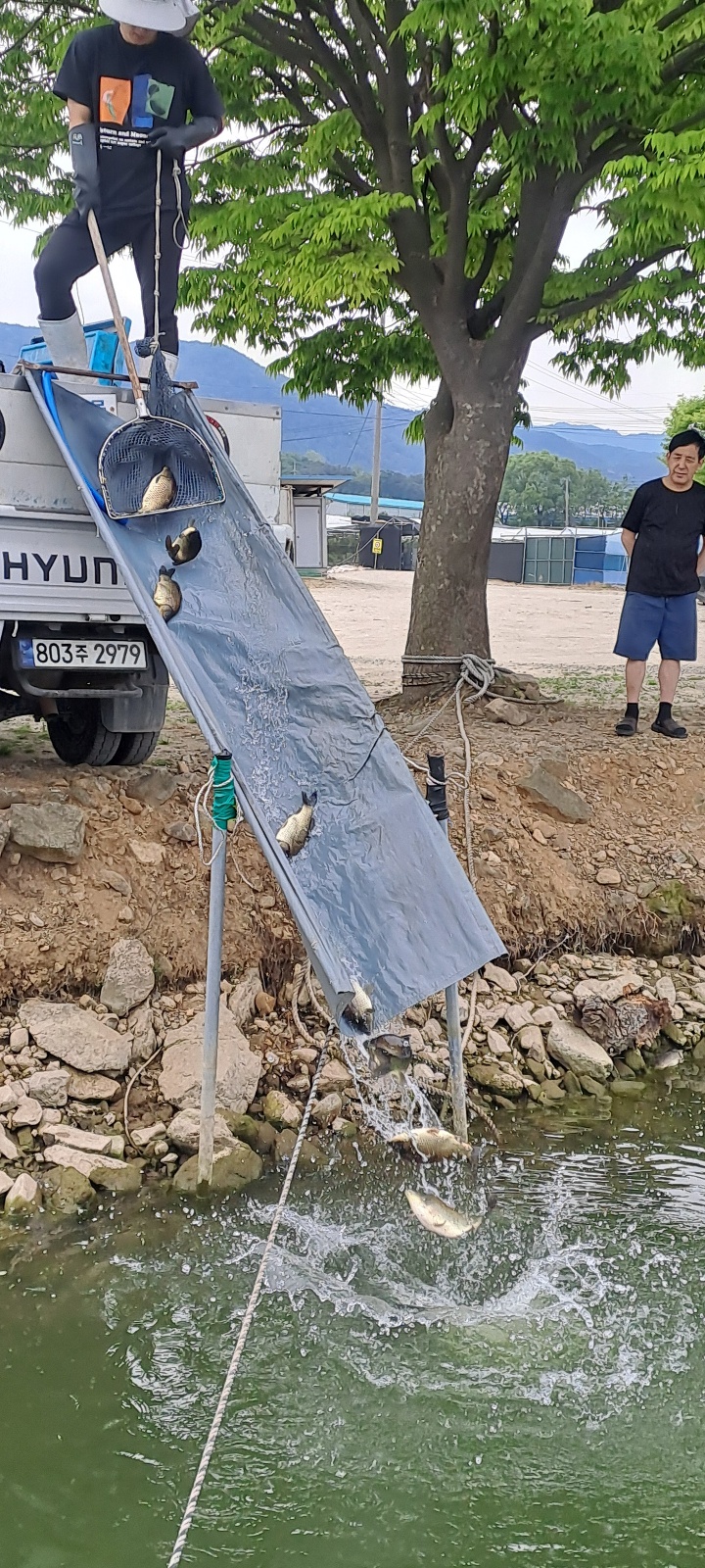KakaoTalk_20260520_160715361_09.jpg