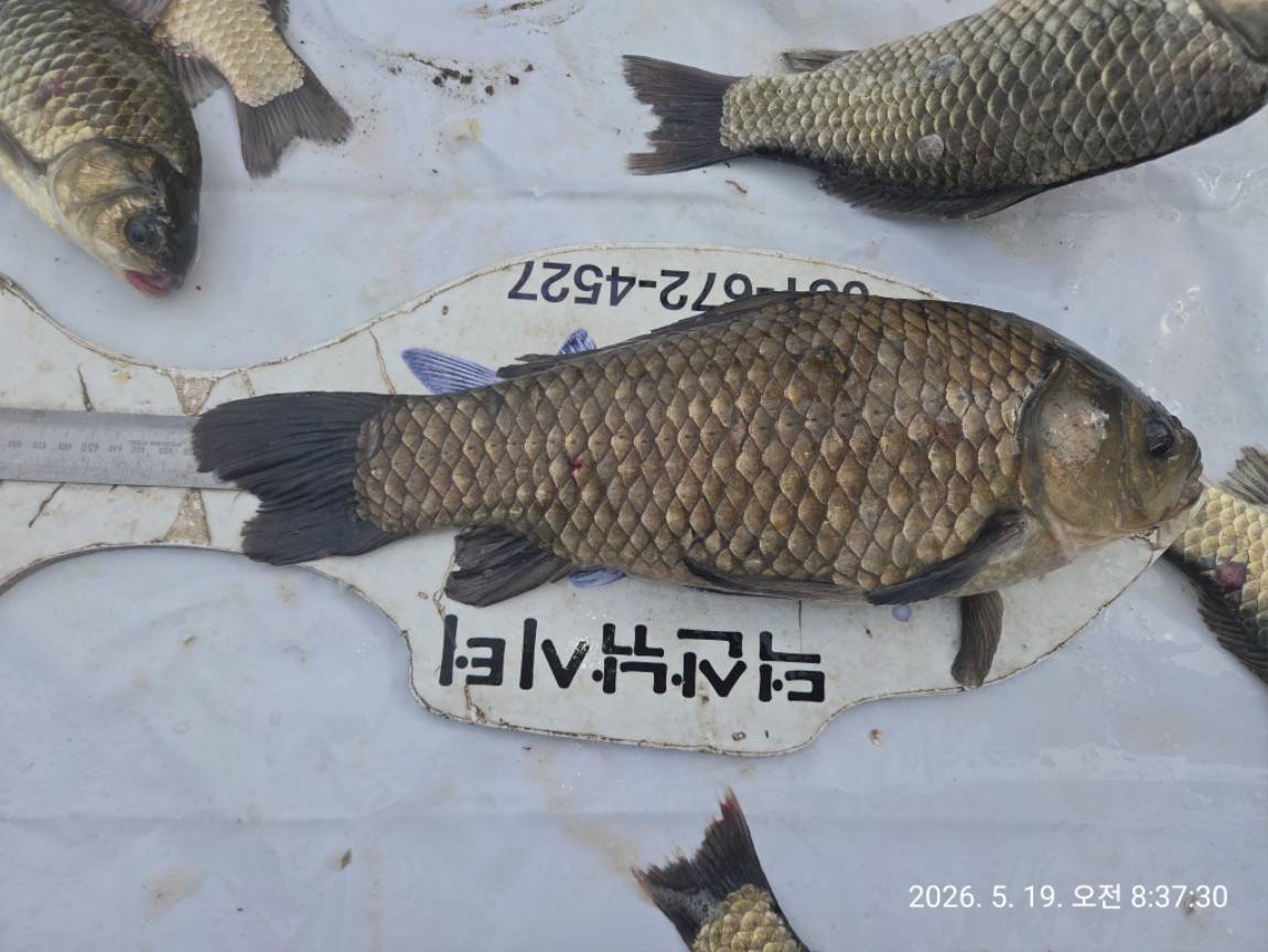 KakaoTalk_20260520_193652371_04.jpg