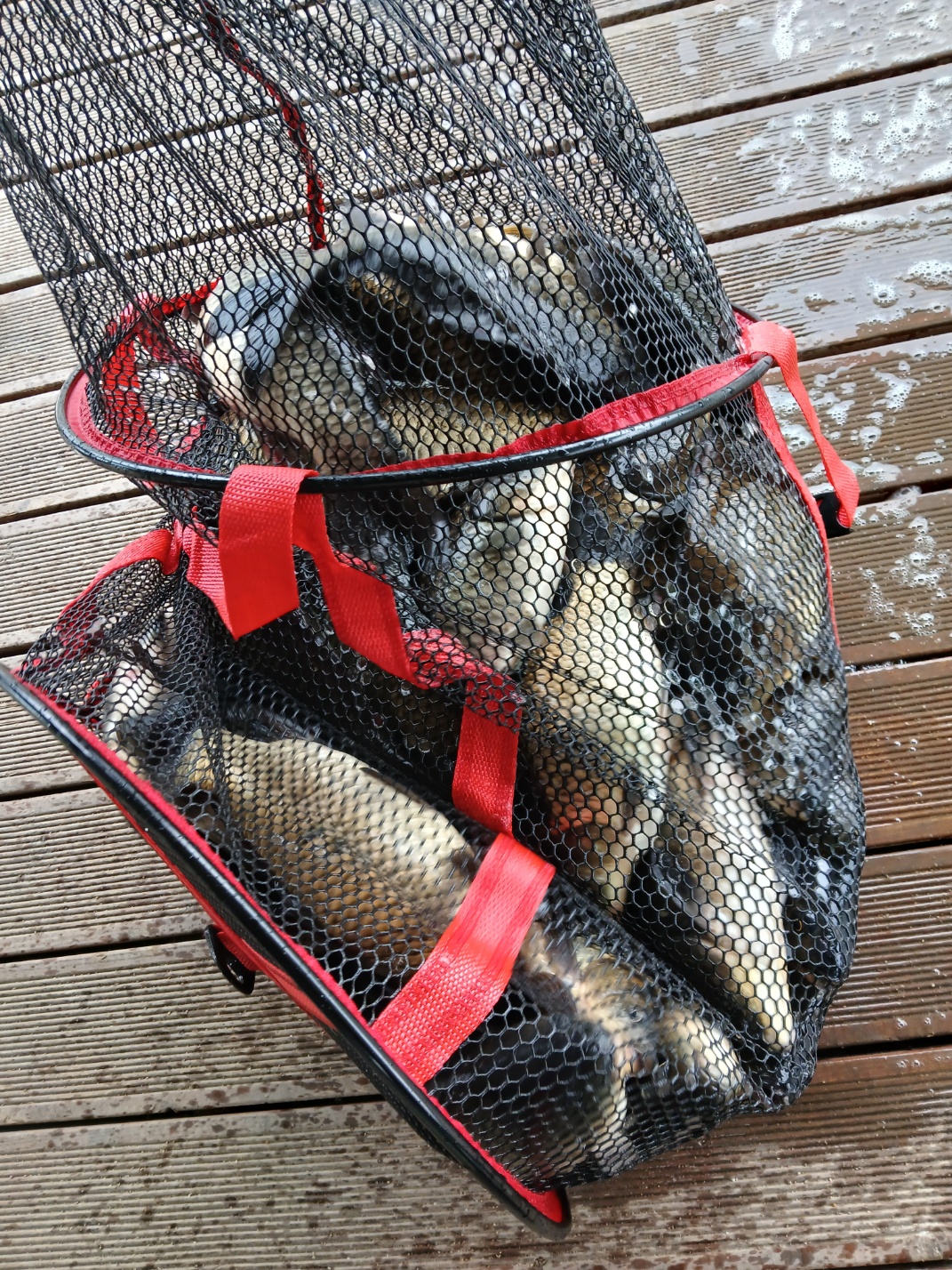 KakaoTalk_20260519_171935044_01.jpg