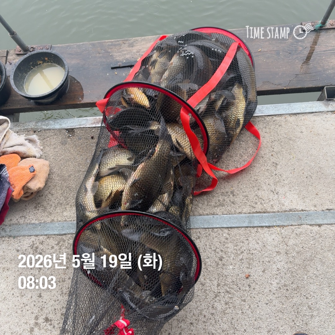 KakaoTalk_20260521_091639976_09.jpg