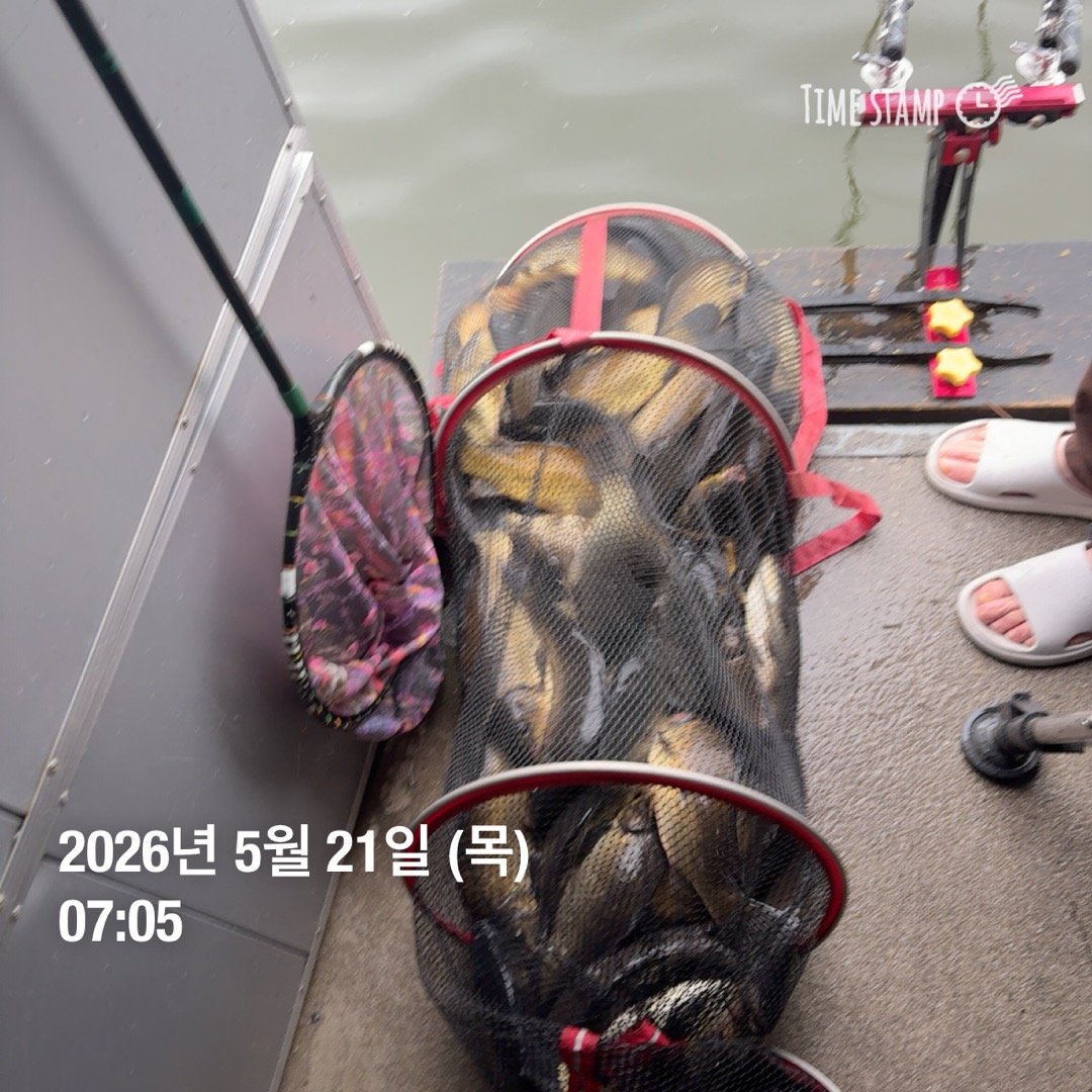 KakaoTalk_20260521_091639976_02.jpg