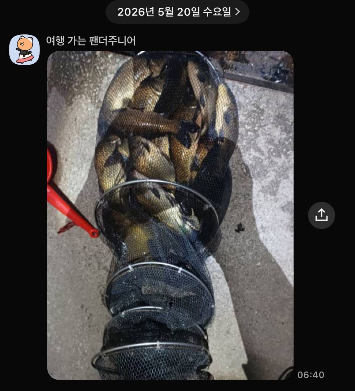 KakaoTalk_20260521_091639976_07.jpg