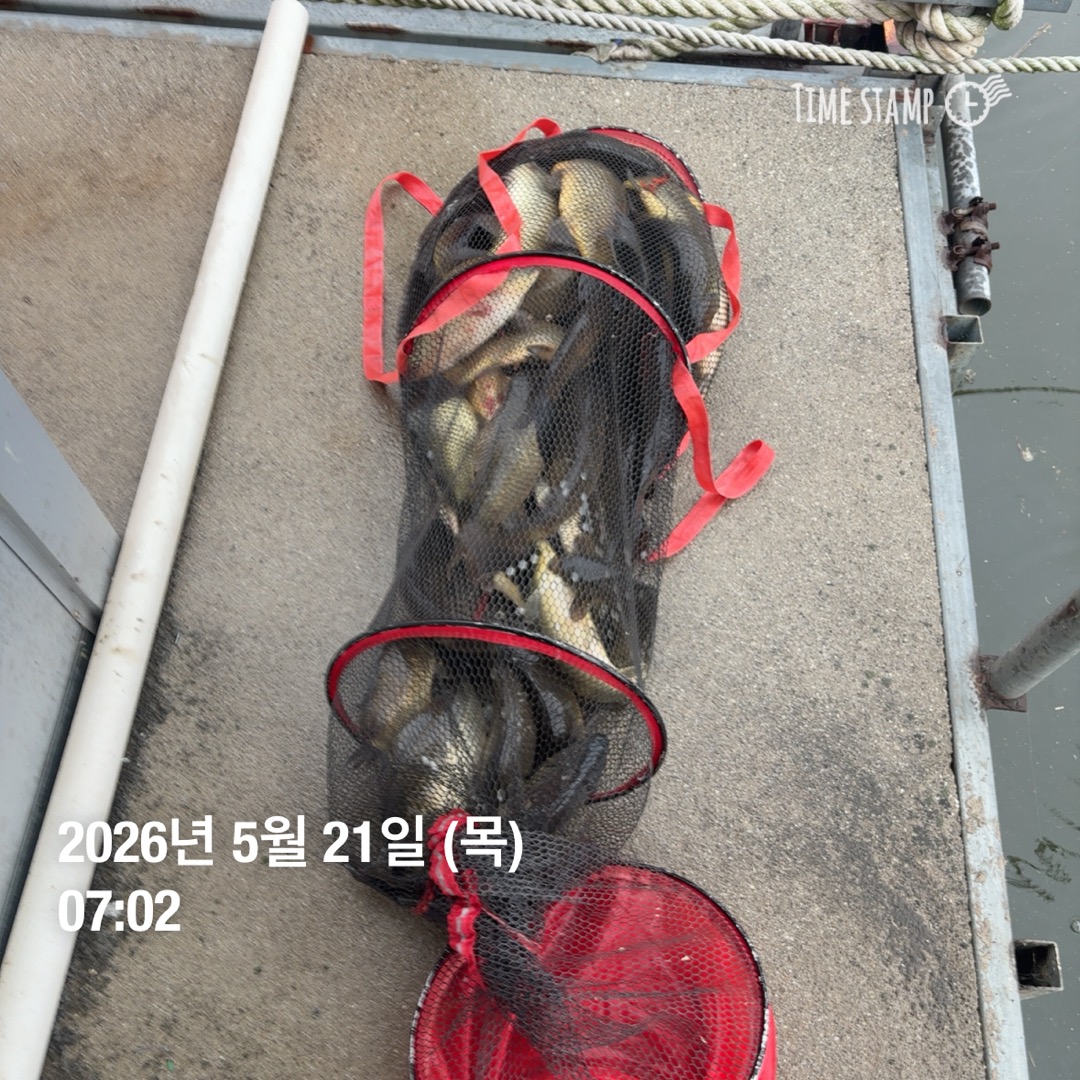KakaoTalk_20260521_091639976_03.jpg