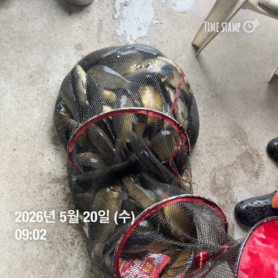 KakaoTalk_20260521_091639976_06.jpg