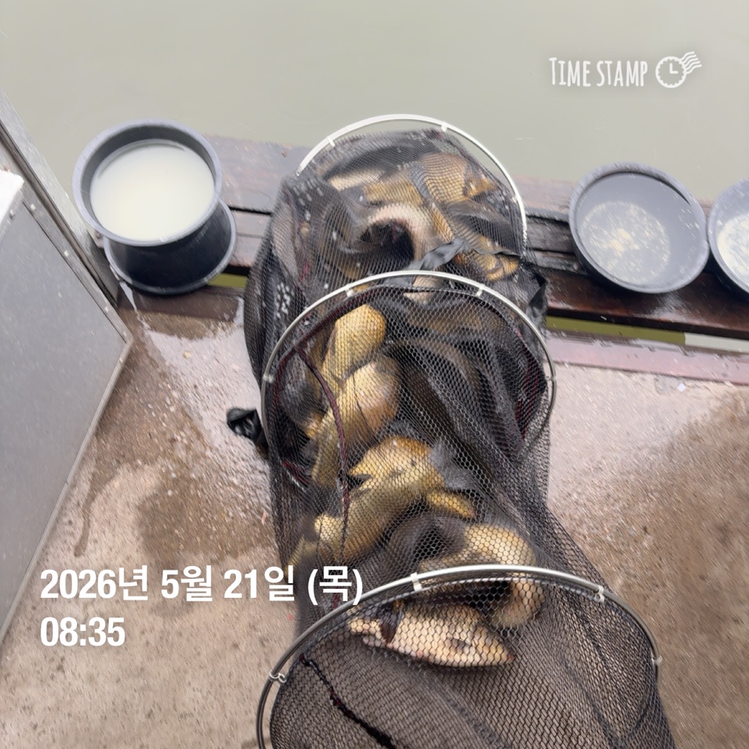 KakaoTalk_20260521_091639976.jpg