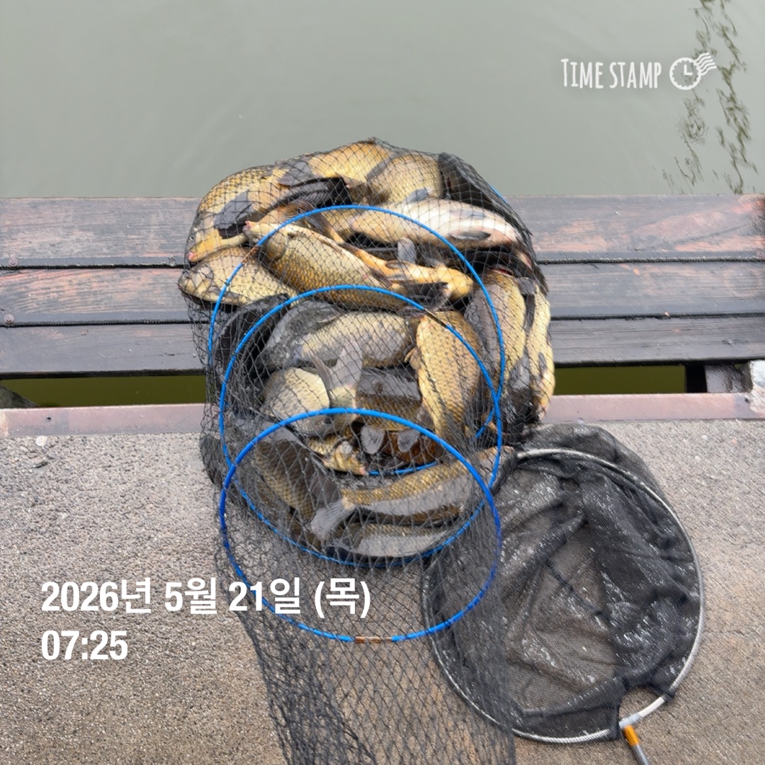 KakaoTalk_20260521_091639976_01.jpg