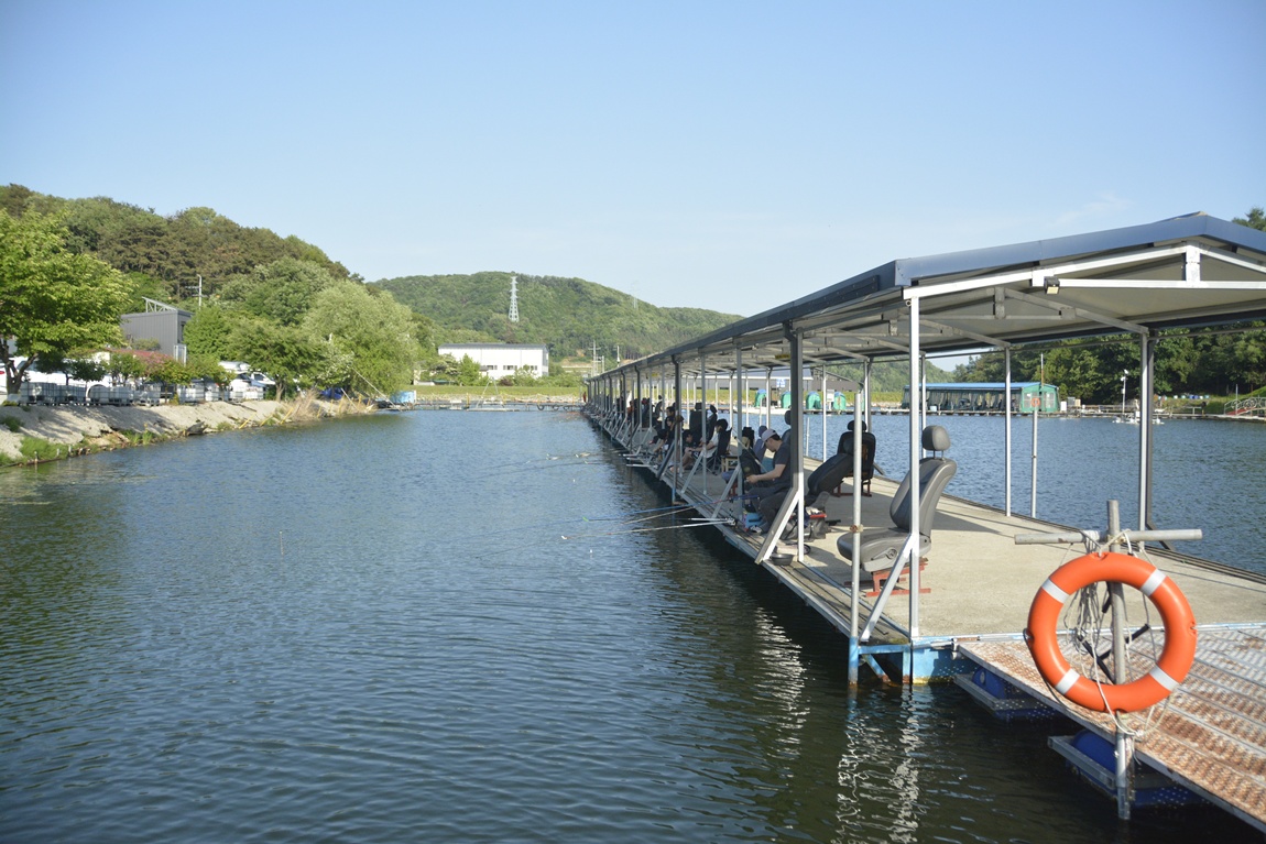 _7104135.JPG