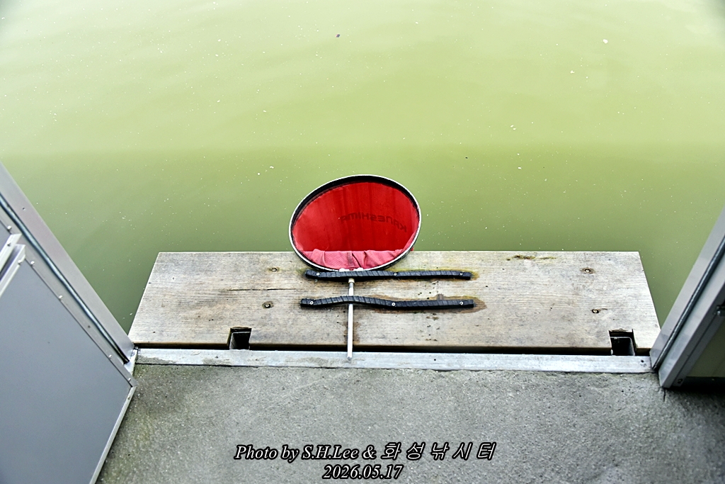 _LEE4355.JPG