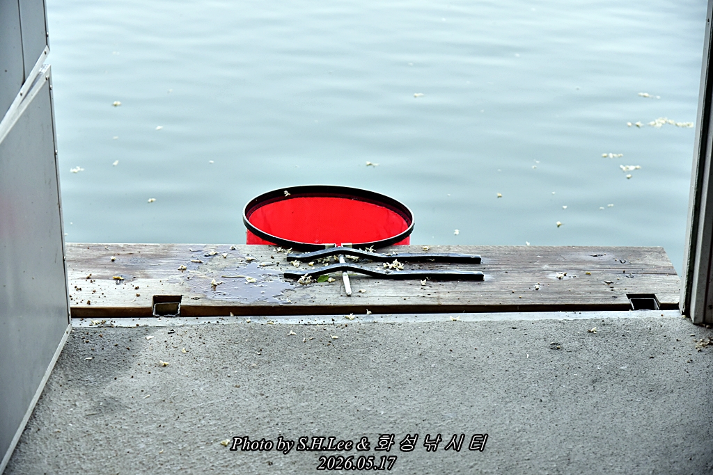 _LEE4363.JPG