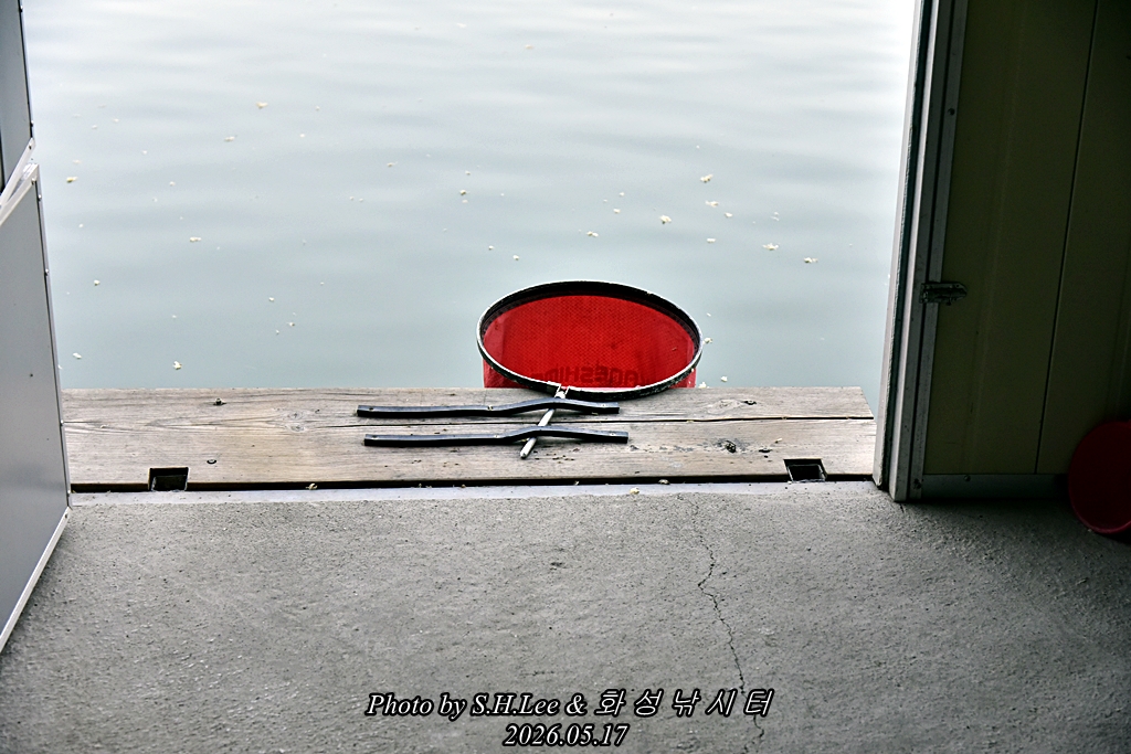 _LEE4369.JPG