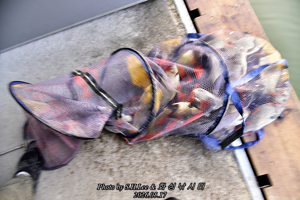_LEE4389.JPG