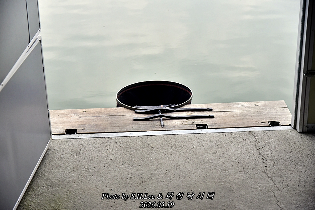 _LEE4440.JPG