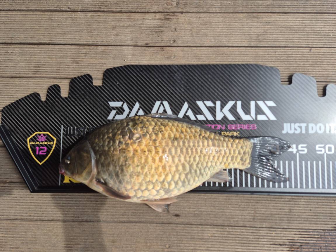 �⸮������_����_20260519_4.jpg