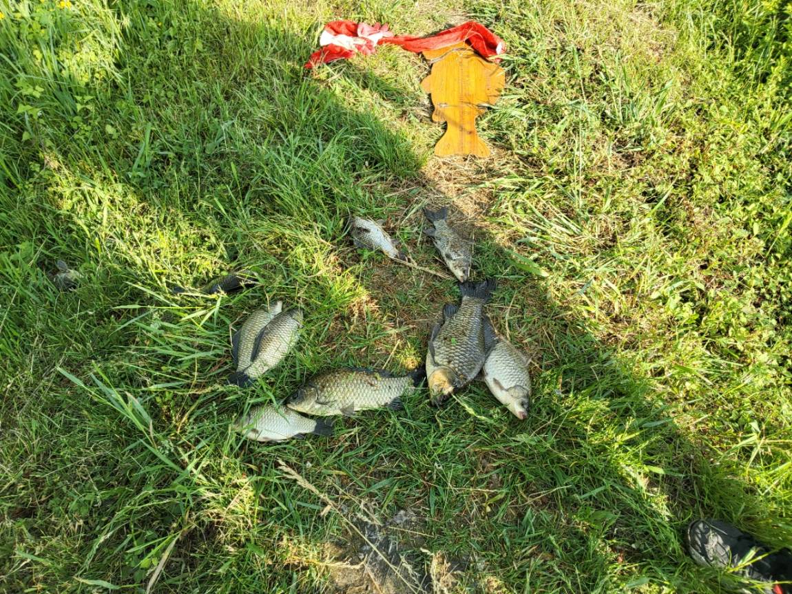 �⸮������_����_20260515_17.jpg