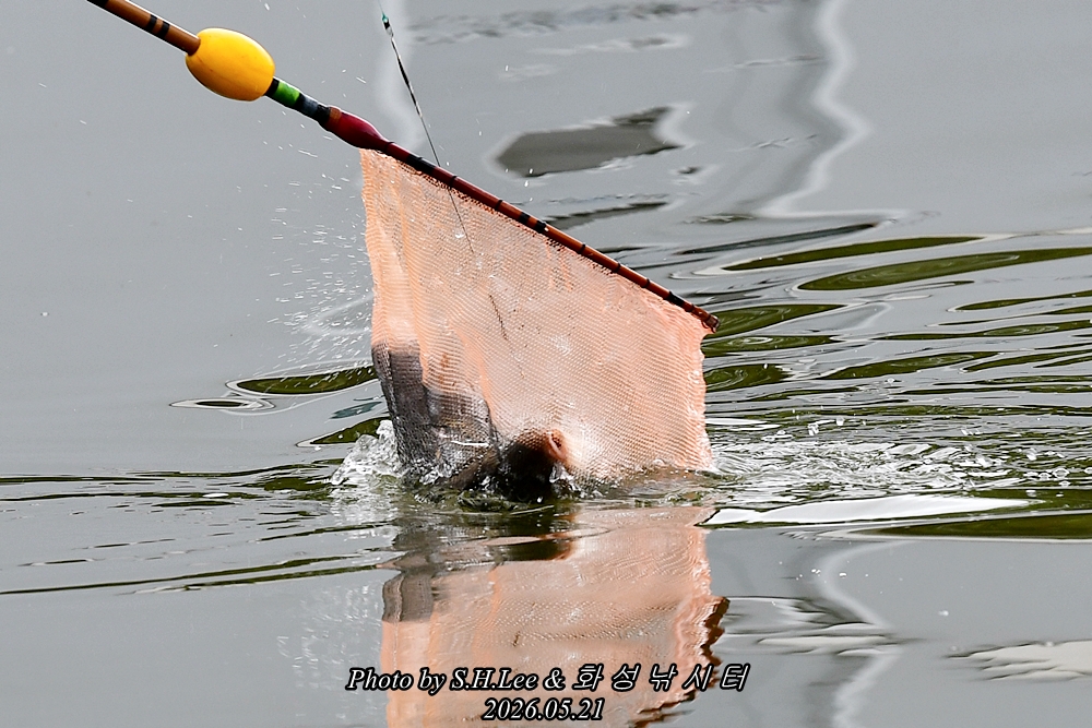 DSC_0980.JPG