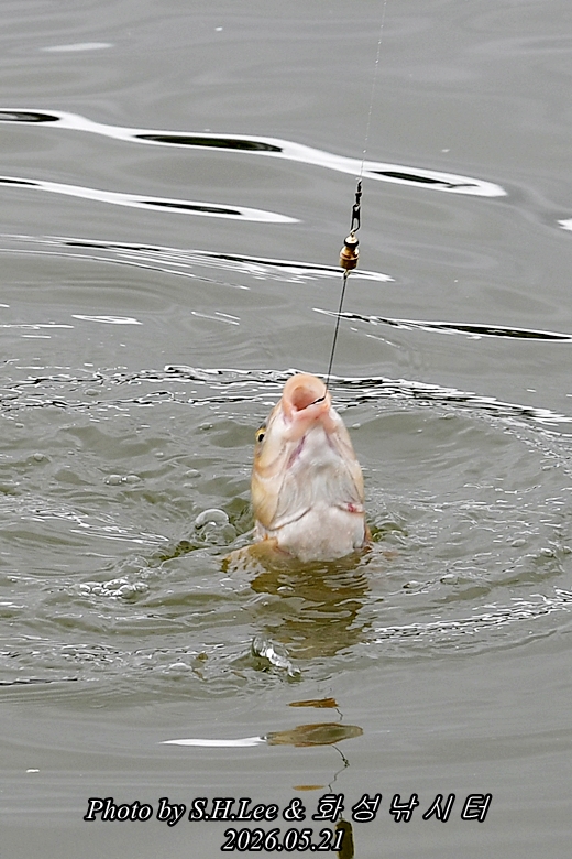 DSC_0989.JPG