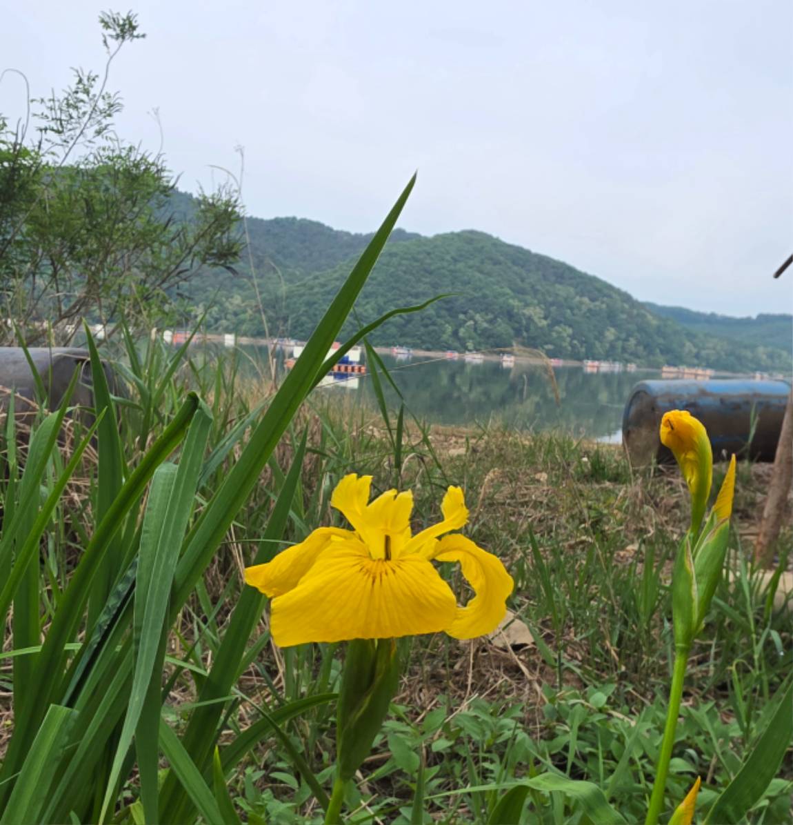 KakaoTalk_20260520_150119543.jpg