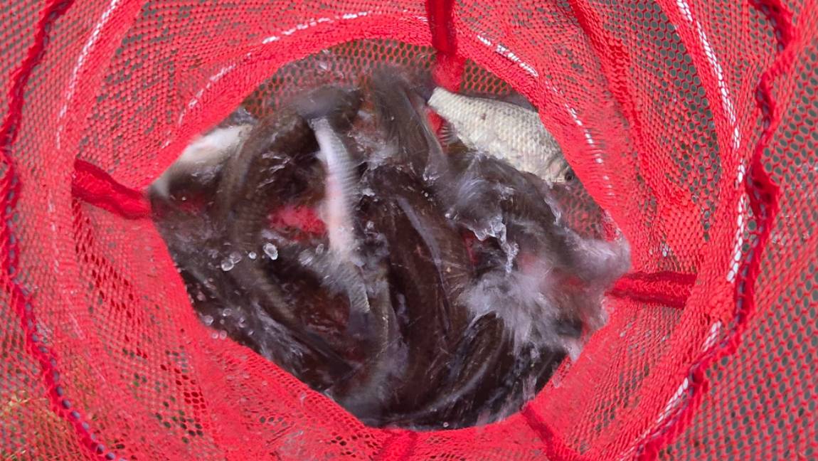 20260521_072621.jpg