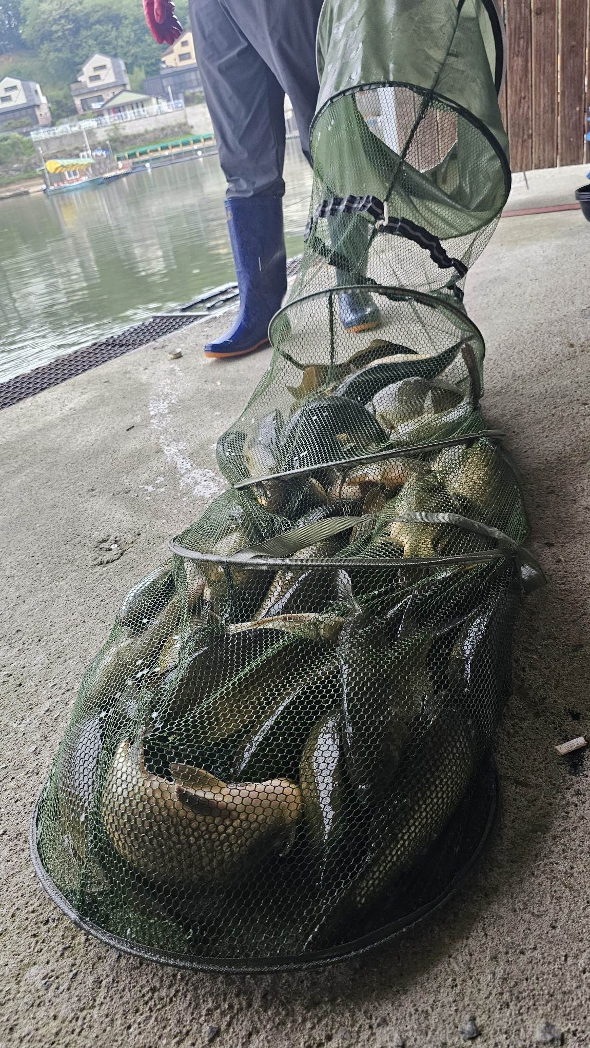 20260520_070712.jpg