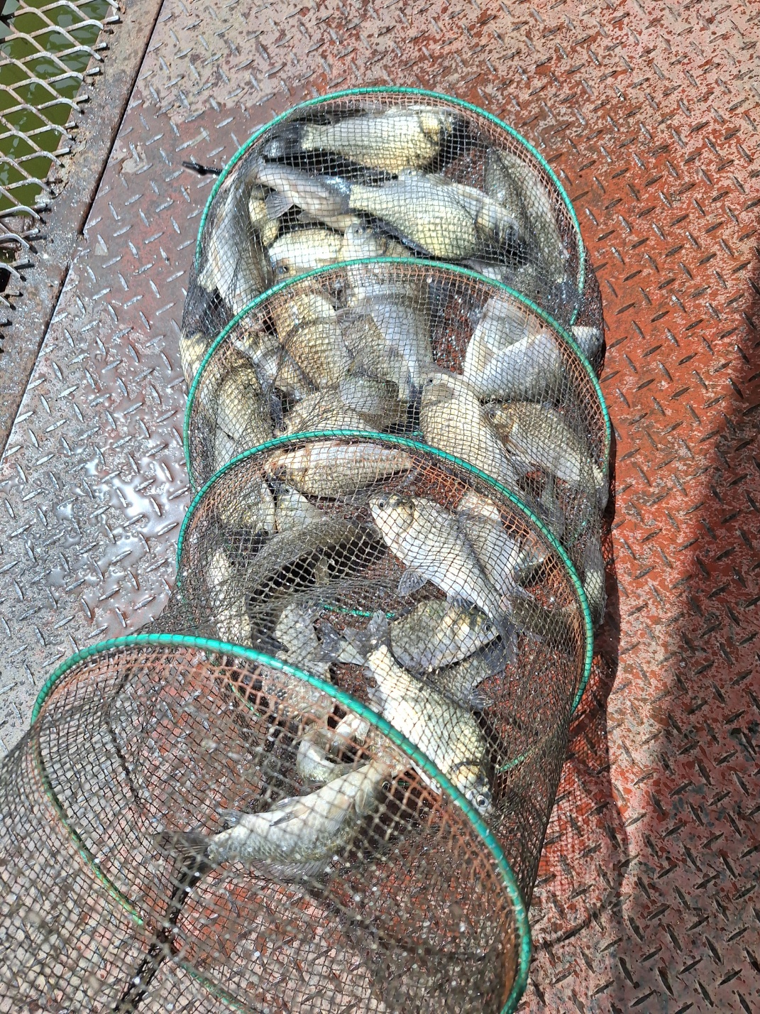 KakaoTalk_20260522_113710817_02.jpg
