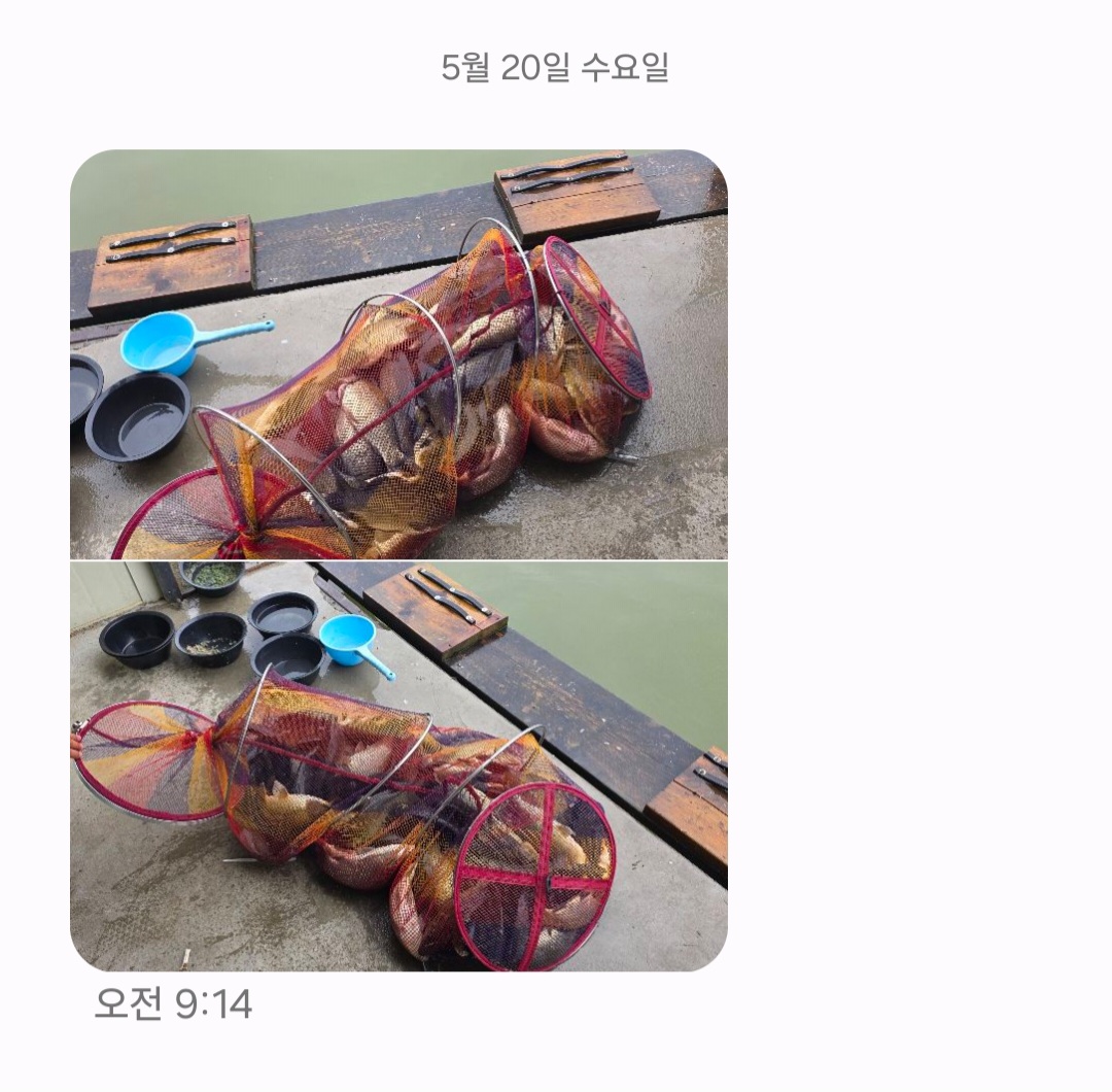 Screenshot_20260520_091506_Messages.jpg