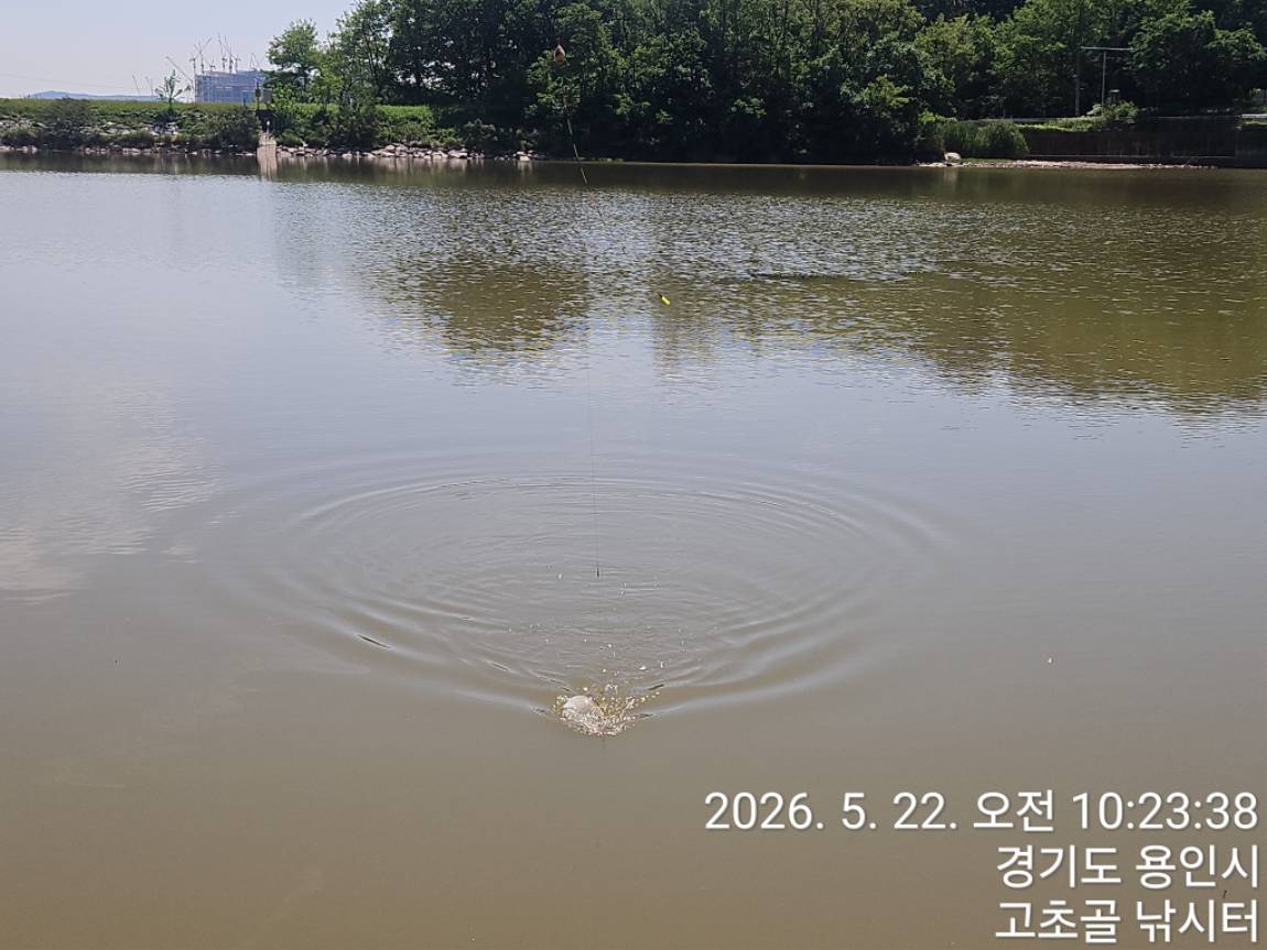 1779533340520.jpg