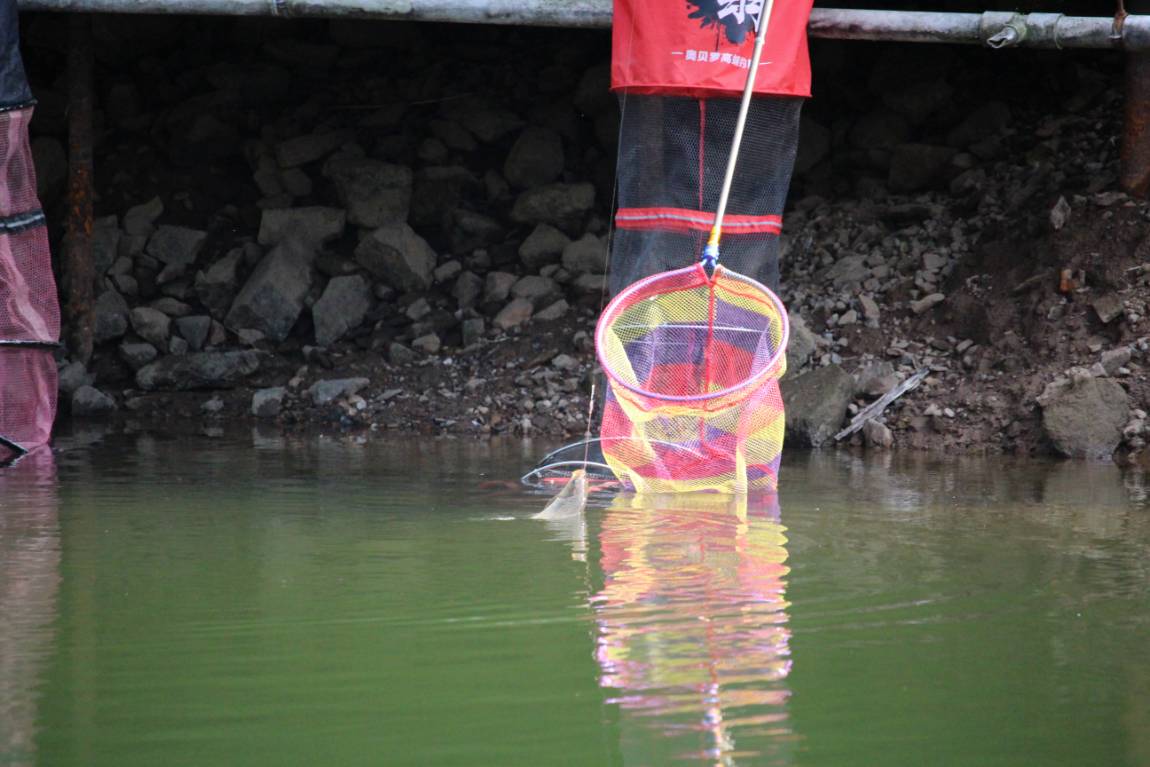 IMG_7905.JPG