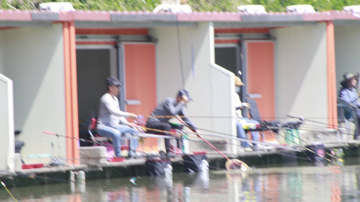 _MG_6990.JPG