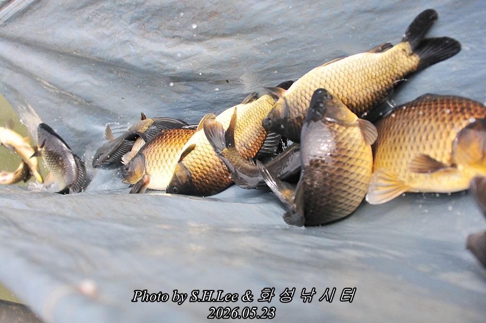 LSH_5726.JPG