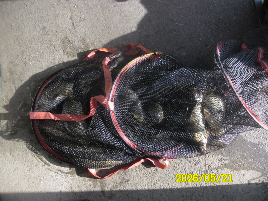SAM_9844.JPG