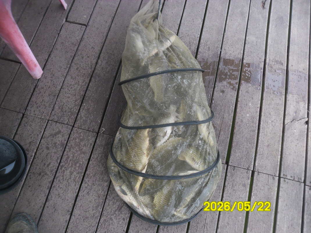 SAM_9877.JPG