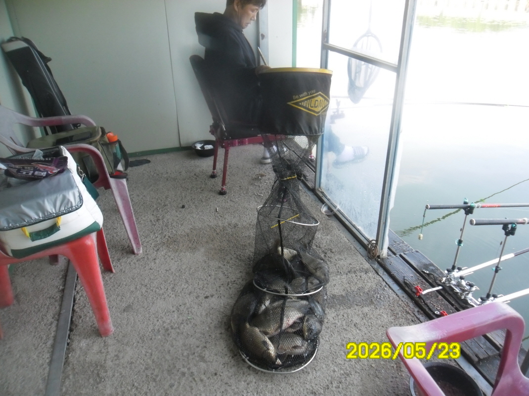 SAM_9924.JPG