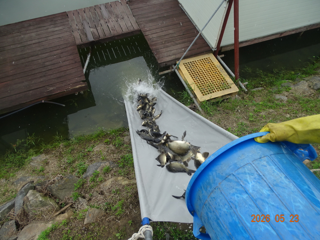 DSC03746.JPG