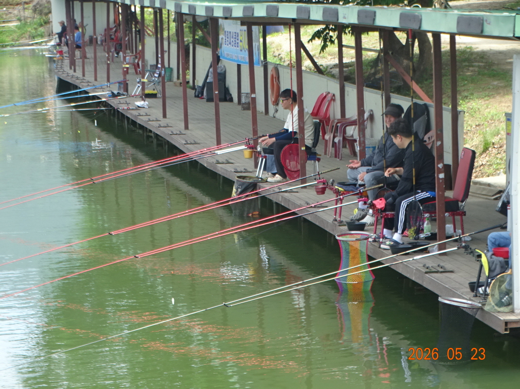 DSC03810.JPG
