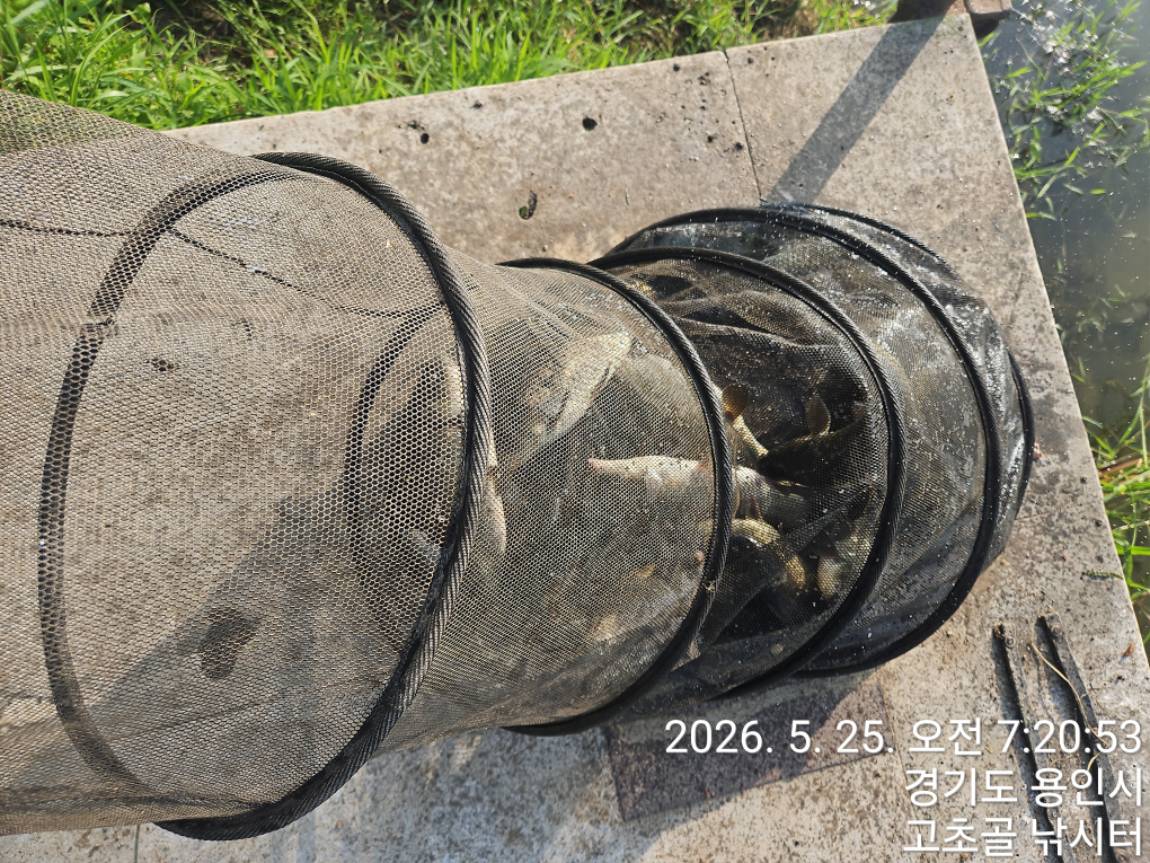 1779702832013.jpg