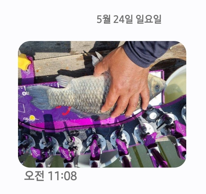 Screenshot_20260525_084223_Messages.jpg