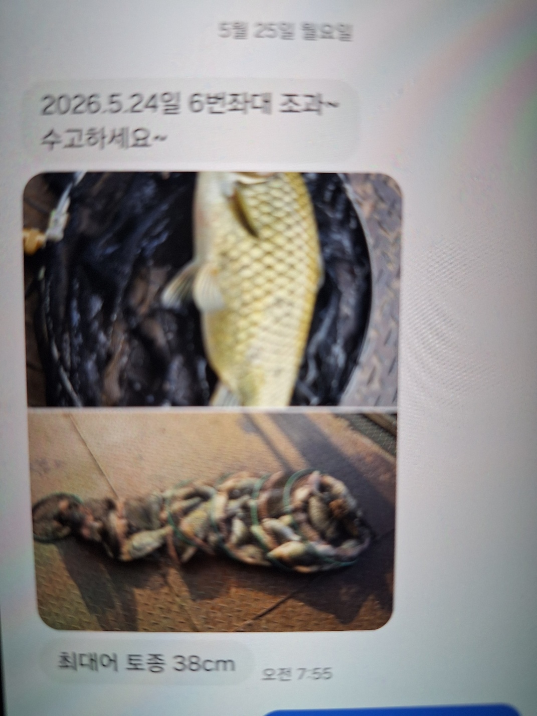 KakaoTalk_20260525_115750004_01.jpg