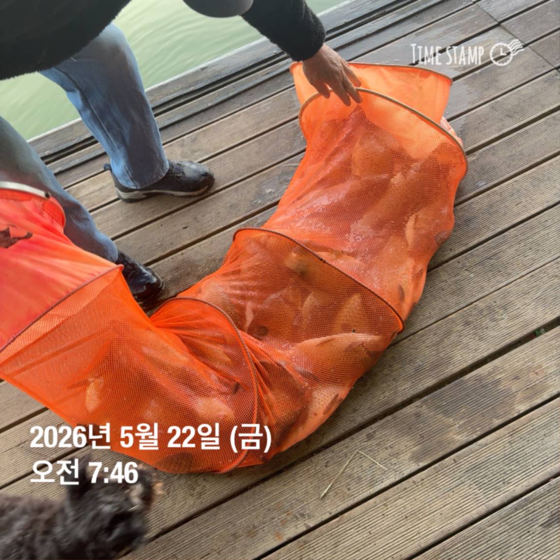 KakaoTalk_20260526_091804395_02.jpg