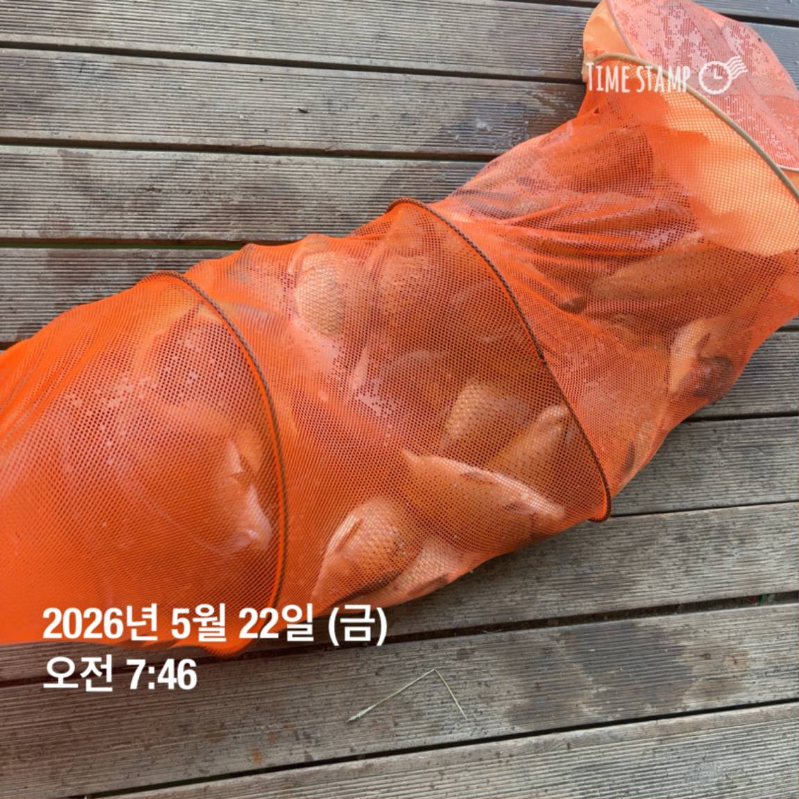 KakaoTalk_20260526_091804395_03.jpg