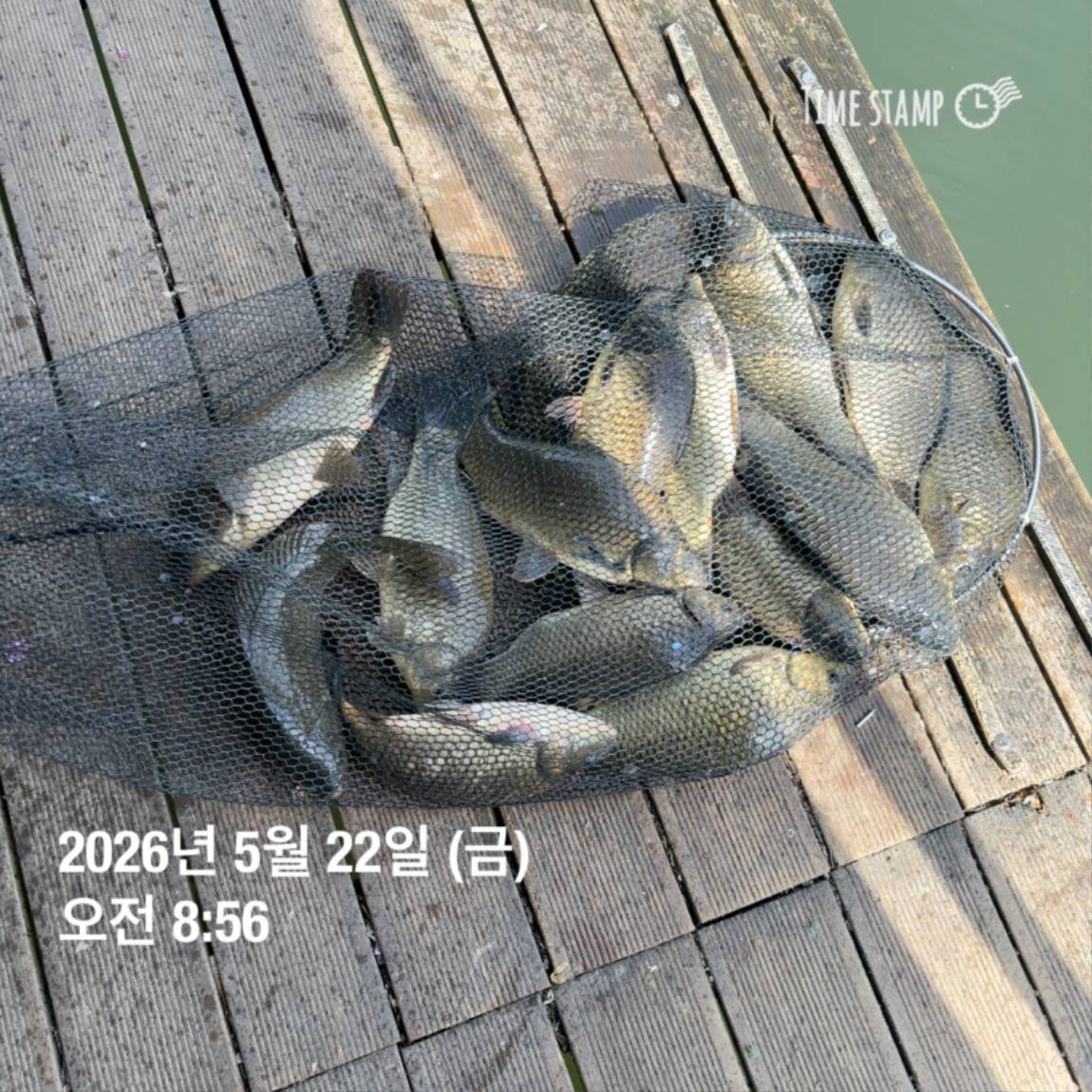 KakaoTalk_20260526_091804395_04.jpg