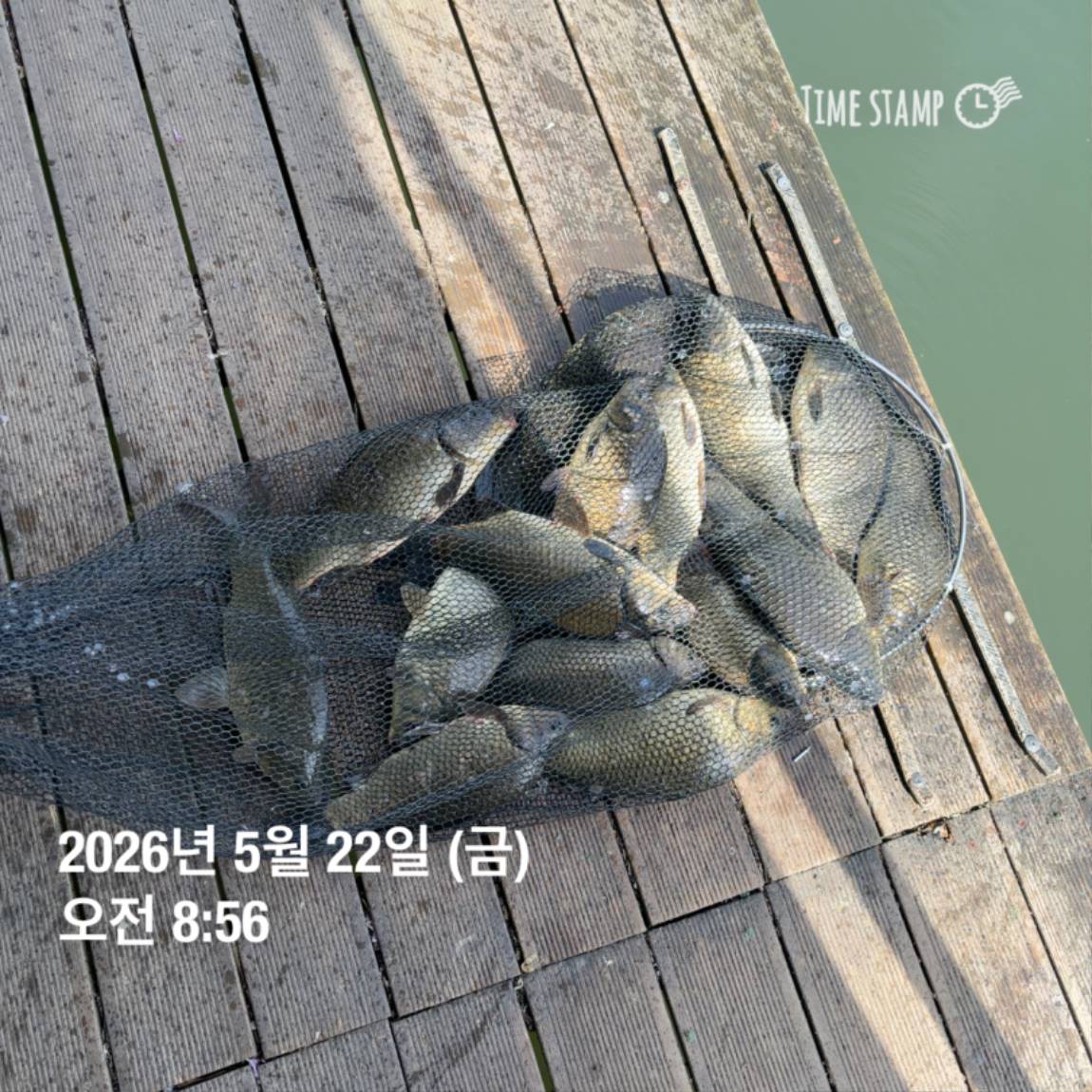 KakaoTalk_20260526_091804395_05.jpg