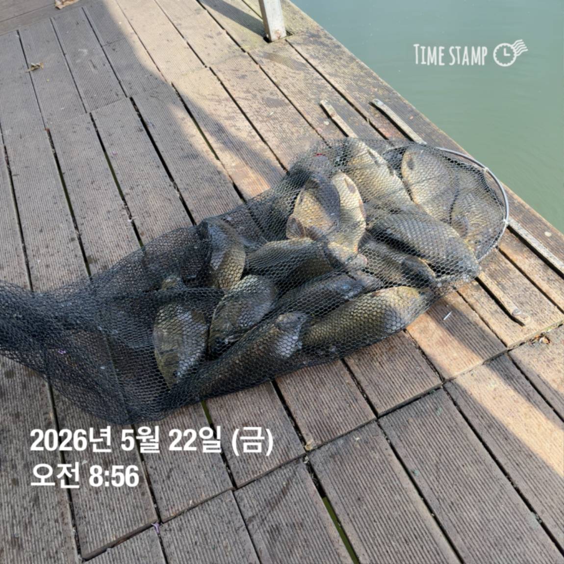 KakaoTalk_20260526_091804395_06.jpg