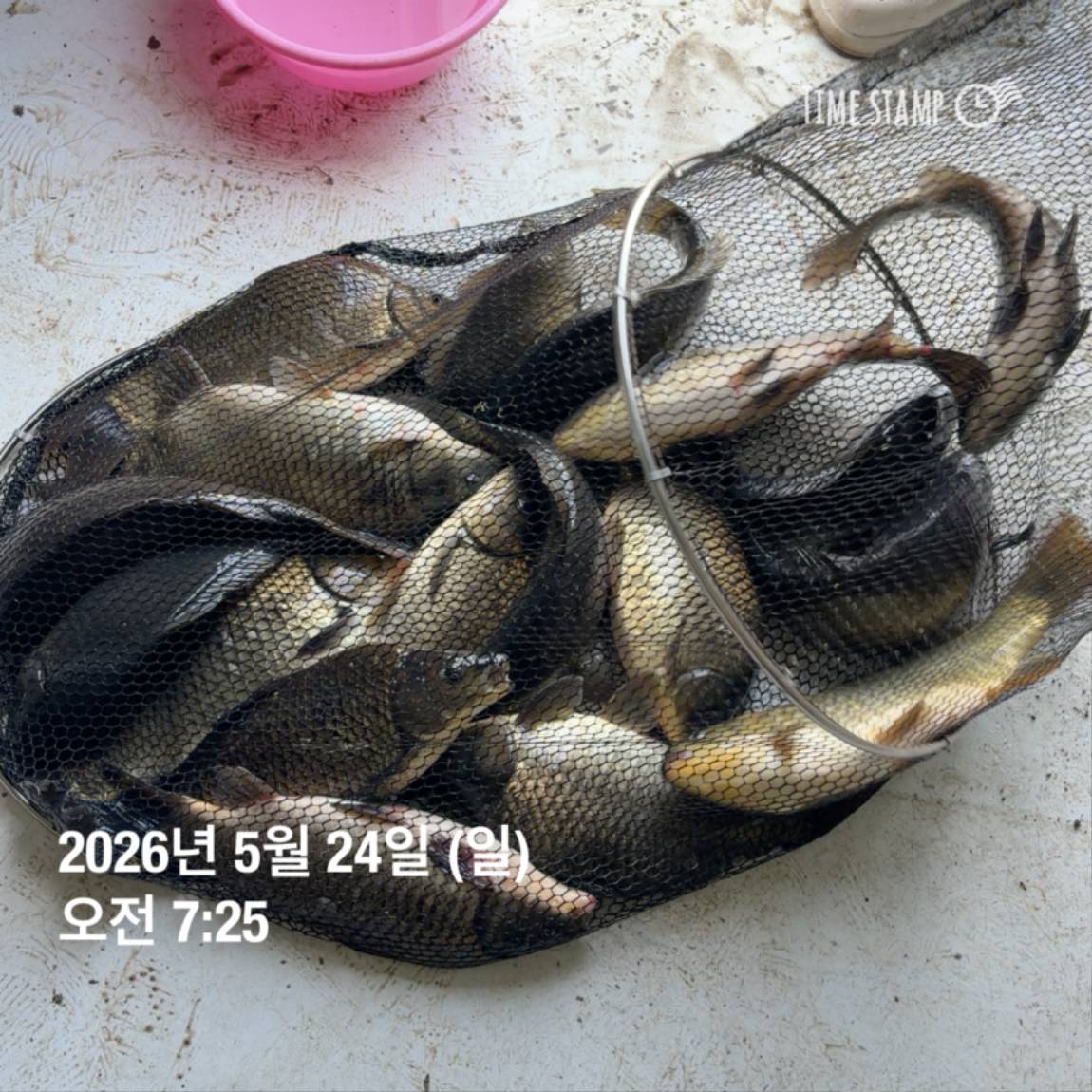 KakaoTalk_20260526_091804395_07.jpg